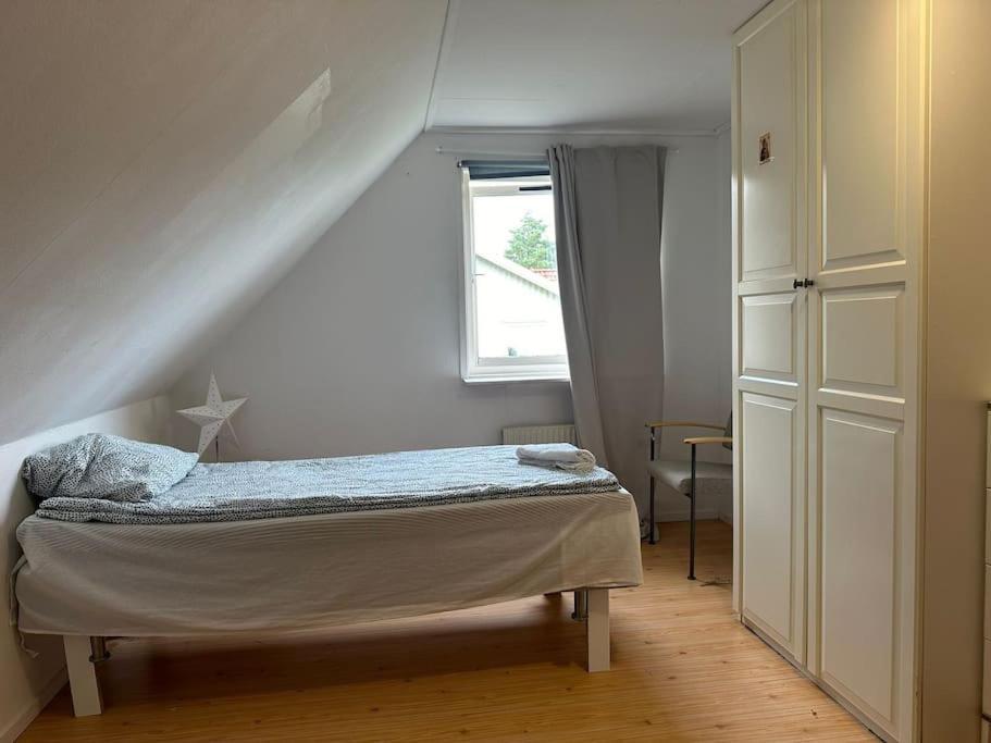 Apartment Cozy And Convenient