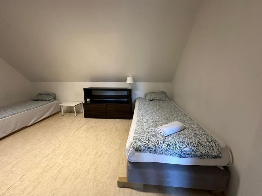 Cozy And Convenient Apartment